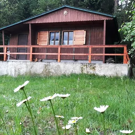 Holiday home - Na Samote U Lesa *