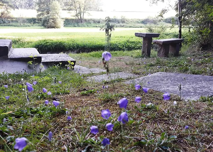- Na Samotě U Lesa Prázdninový dům Levin (Ceske Budejovice)