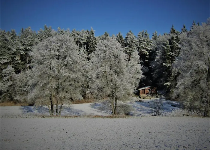 - Na Samote U Lesa Feriehus
