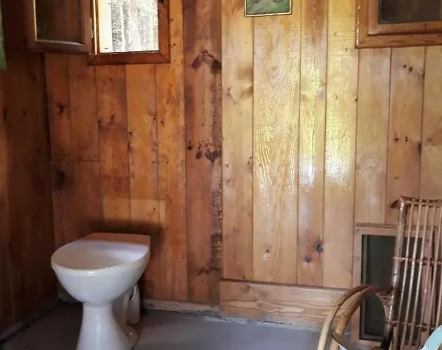 - Na Samote U Lesa * Levin (Ceske Budejovice)