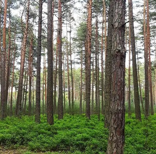 - Na Samote U Lesa Feriehus
