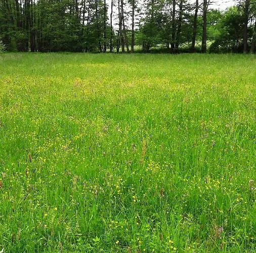 - Na Samote U Lesa Feriehus